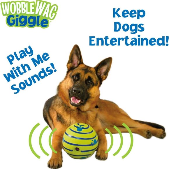 Ball, Interactive Dog Toy, Fun Giggle Sounds When Rolled or Shaken, Pets Know Be - Picture 8 of 9